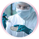 Investigación
